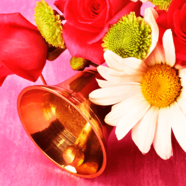 Последний звонок Последний звонок