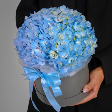 Букеты с голубыми гортензиями Букеты с голубыми гортензиями