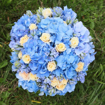 Гортензии с розами от 51 шт. Гортензии с розами от 51 шт.