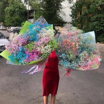 Разноцветная гипсофила - 81 шт.