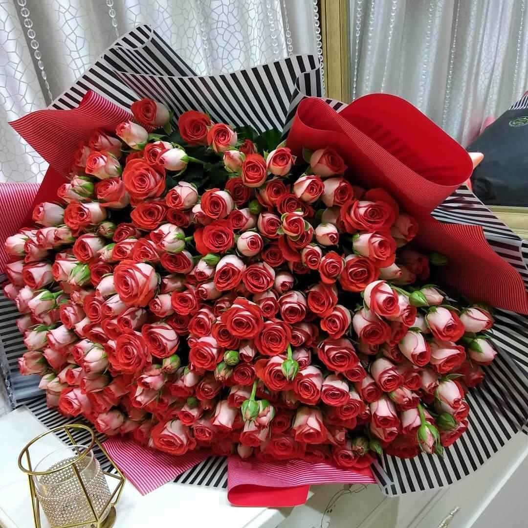 101 красная кустовая роза в букете 101 красная кустовая роза в букете