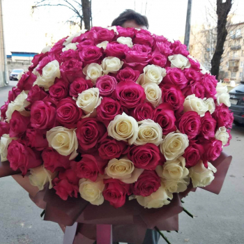 Малиново-белый букет из 101 розы