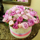 41 пион микс в коробке 41 пион микс в коробке