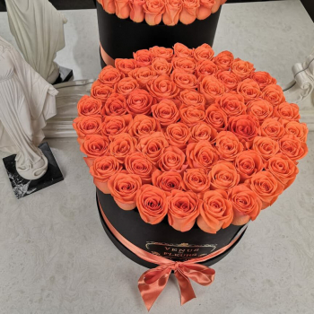 51 коралловая роза в коробке 51 коралловая роза в коробке