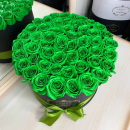 51 зеленая роза в коробке 51 зеленая роза в коробке