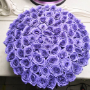 Фиолетовые розы в коробке от 9 шт. Фиолетовые розы в коробке от 9 шт.