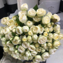 Белые пионовидные розы от 9 шт. Белые пионовидные розы от 9 шт.