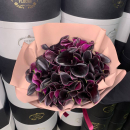 Букет черных калл от 9 шт. Букет черных калл от 9 шт.