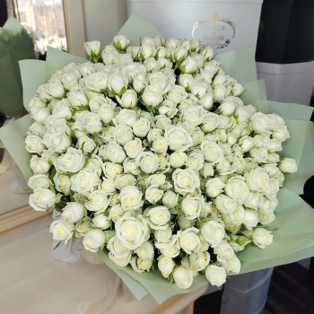 51 белая кустовая роза в букете 51 белая кустовая роза в букете