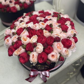 Пионовидные розы в коробке от 19 шт.