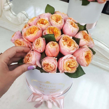 15 пионовидных роз в коробке