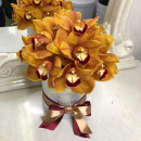 15 медовых орхидей в коробке 15 медовых орхидей в коробке