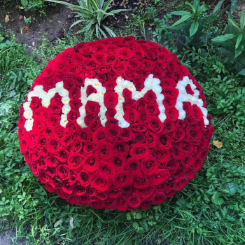 201 роза - любимая мама