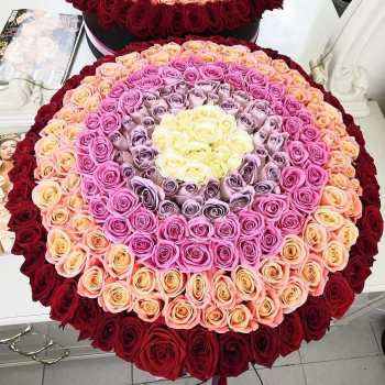 201 нежная радуга