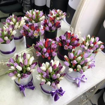 19 корпоративных тюльпанов для коллег