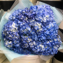 Букет голубых гортензий от 3 шт. Букет голубых гортензий от 3 шт.