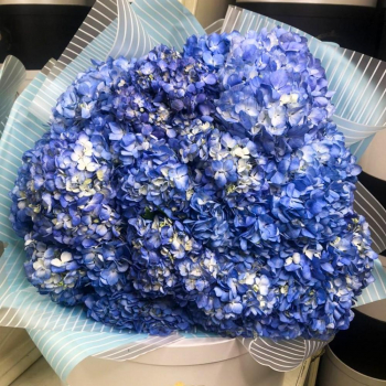Букет голубых гортензий от 3 шт.