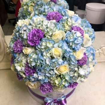 Розы с гортензией в коробке от 41 шт.