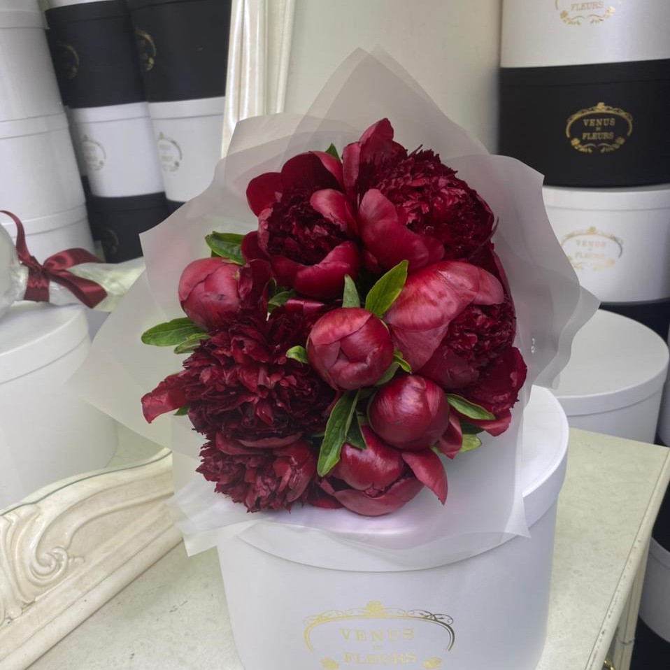 9 бордовых пионов 9 бордовых пионов