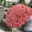 101 розовая роза в букете 101 розовая роза в букете