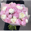 25 бело-розовых пионов в букете 25 бело-розовых пионов в букете