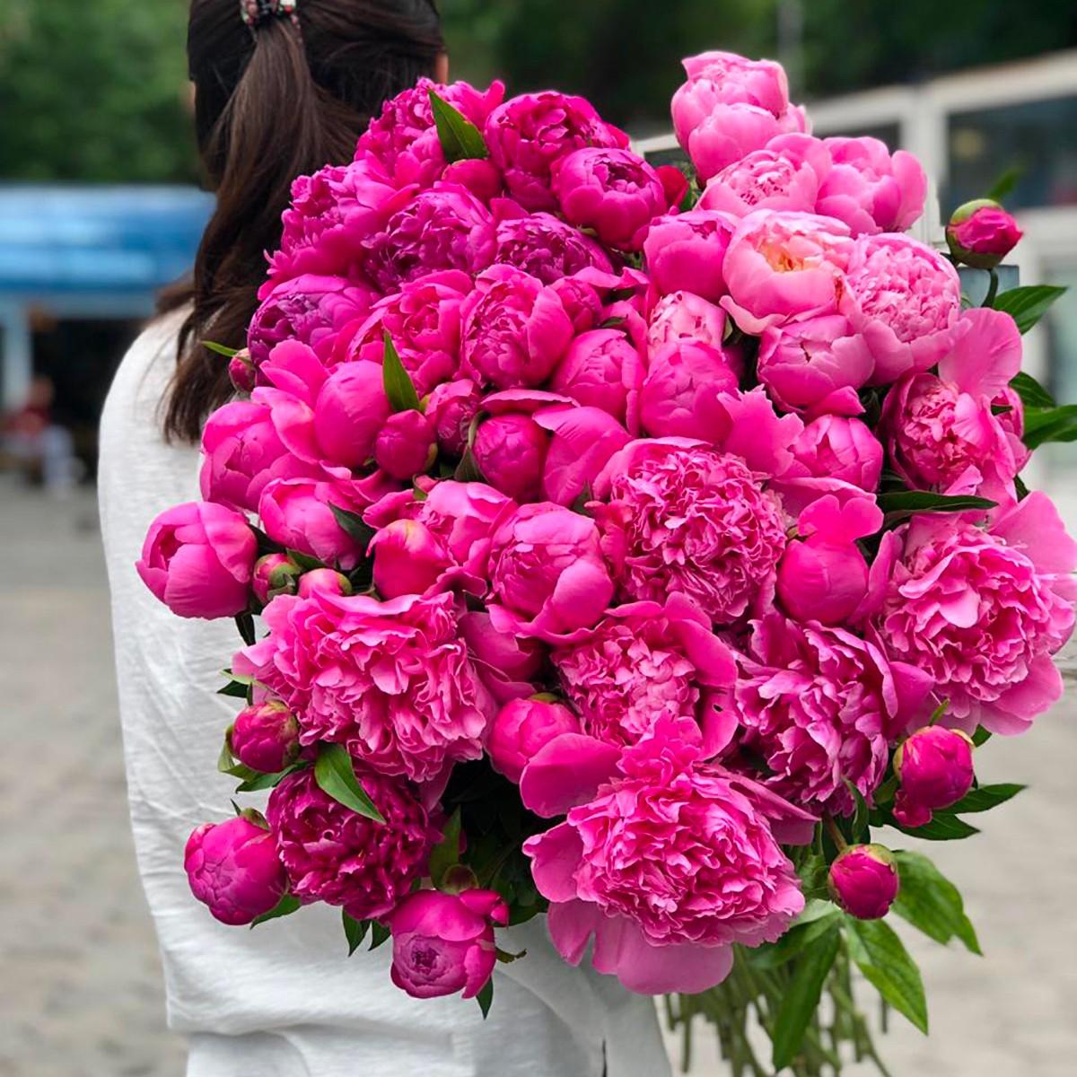 101 малиновый пион в букете 101 малиновый пион в букете