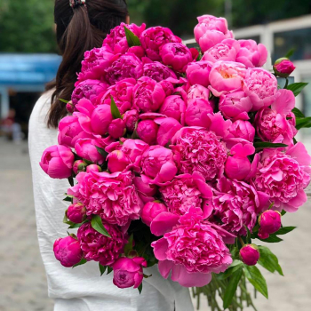 101 малиновый пион в букете 101 малиновый пион в букете