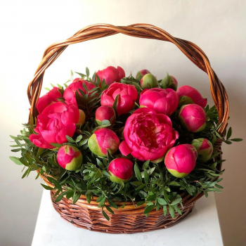 Коралловые пионы в корзине от 25 шт. Коралловые пионы в корзине от 25 шт.