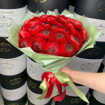 29 красных ранункулюсов