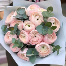 19 нежно-розовых ранункулюсов в букете 19 нежно-розовых ранункулюсов в букете