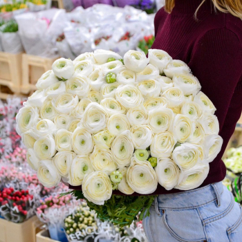 29 лимонных ранункулюсов 29 лимонных ранункулюсов