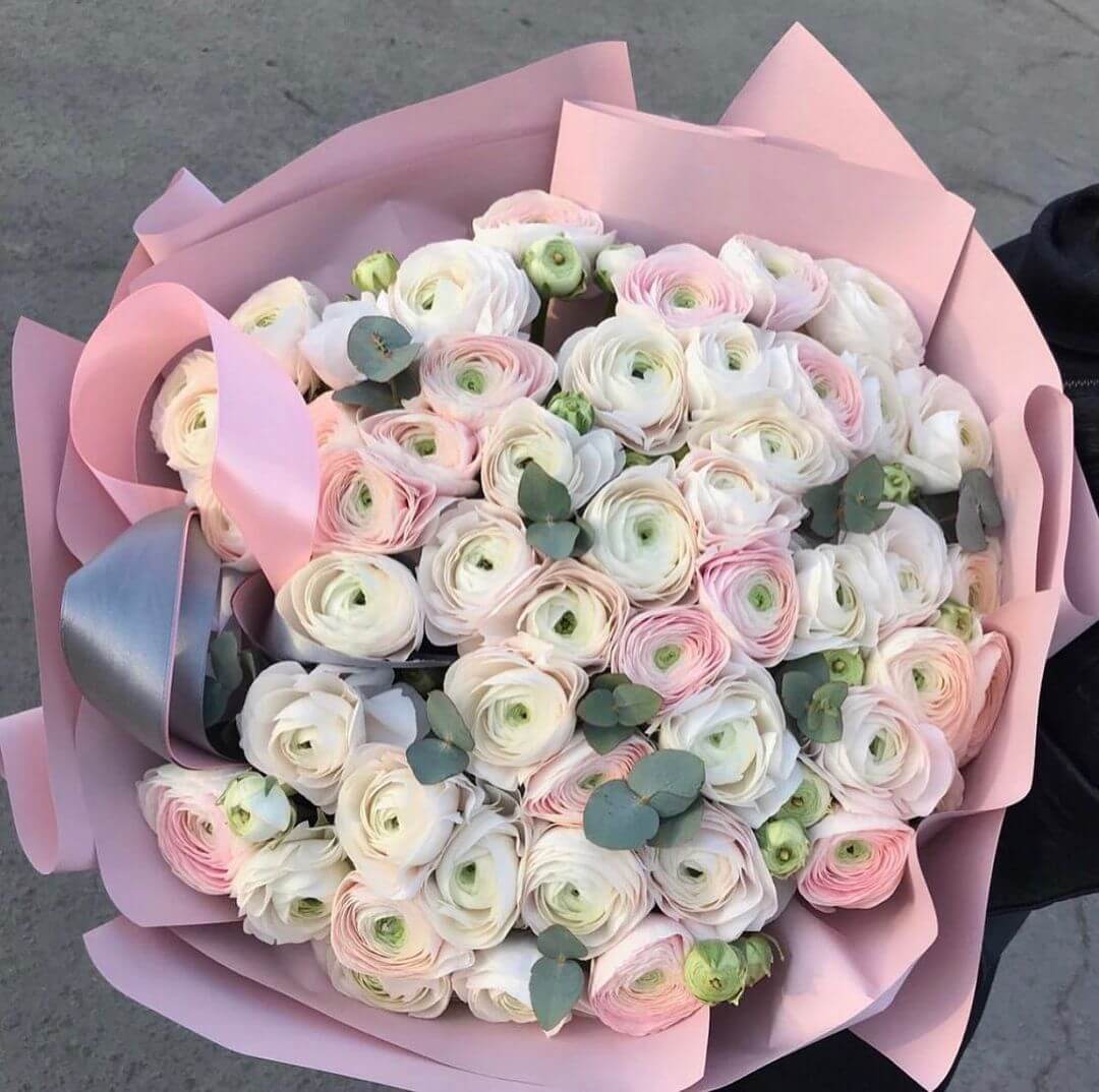 51 белый ранункулюс в букете 51 белый ранункулюс в букете