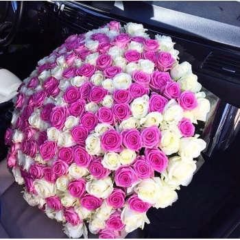 251 бело-розовая роза в букете - 70 см. 251 бело-розовая роза в букете - 70 см.