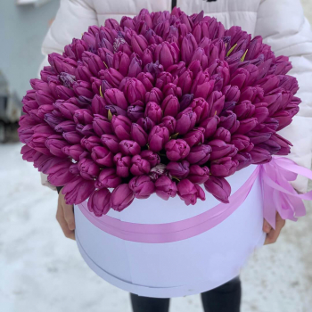 201 фиолетовый тюльпан в коробке