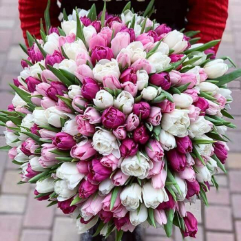 151 пионовидный микс в букете