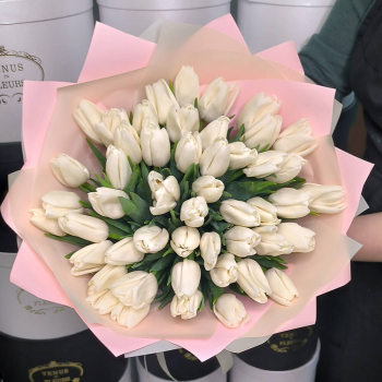 51 белый тюльпан в букете