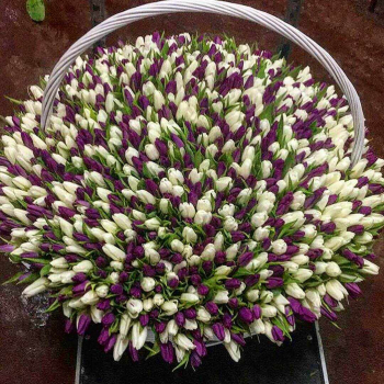 1001 разноцветный тюльпан в корзине 1001 разноцветный тюльпан в корзине