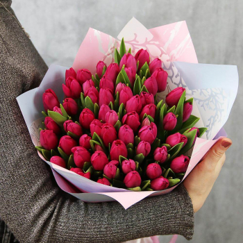 51 малиновый тюльпан в букете