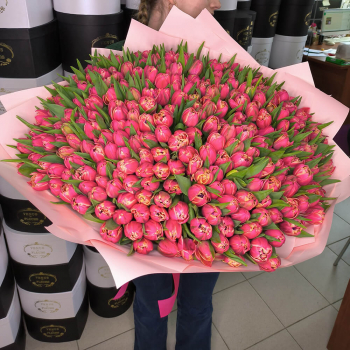 301 розовый тюльпан в букете