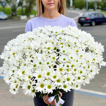 101 белая хризантема в букете