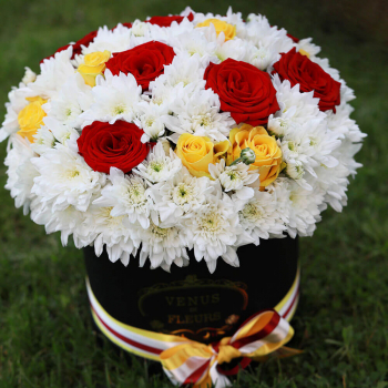 Хризантемы с розами - 25 шт.