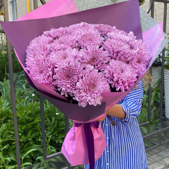 19 сиреневых крупных хризантем
