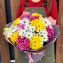 29 разноцветных кустовых ромашковых хризантем в букете 29 разноцветных кустовых ромашковых хризантем в букете