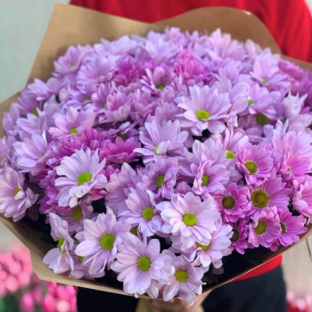 29 кустовых хризантем в букете