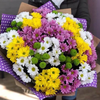 51 разноцветная кустовая хризантема в букете 51 разноцветная кустовая хризантема в букете