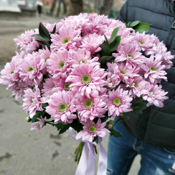 29 розовых хризантем в букете