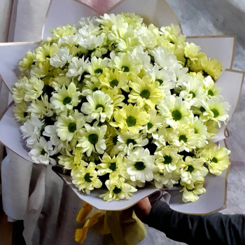 41 зеленая хризантема в букете