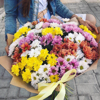 41 радуга из кустовых хризантем в букете 41 радуга из кустовых хризантем в букете