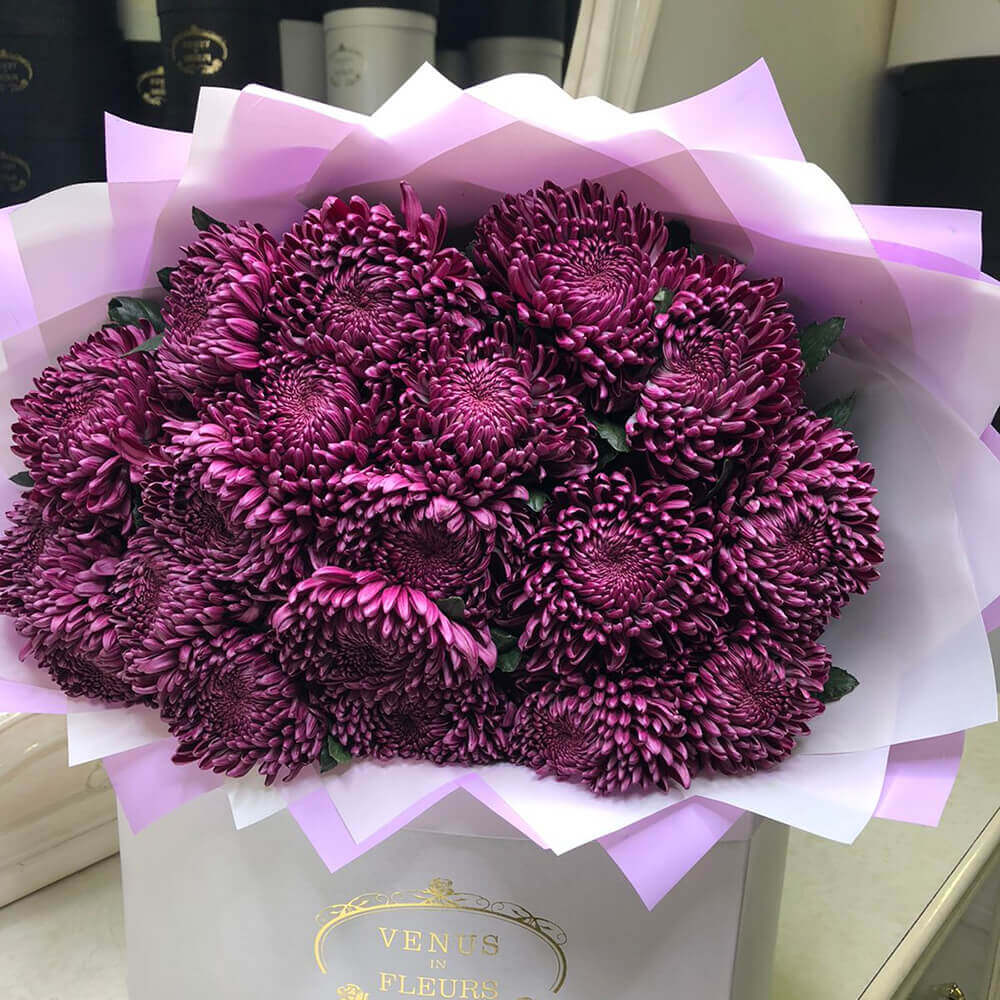 19 бордовых крупных хризантем 19 бордовых крупных хризантем