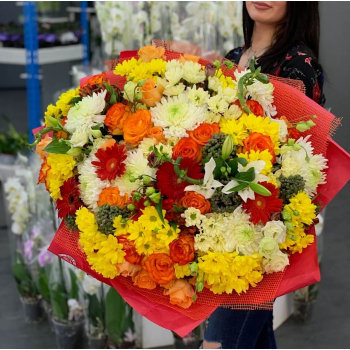 Коралловый микс из хризантем - 65 шт.